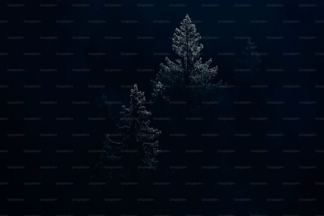 三大指数均有上升 经济景气水平整体坚持扩张